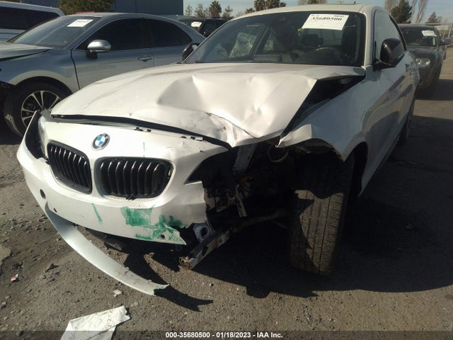 2016 BMW 2 SERIES M235I VIN: WBA1J7C56GV359767