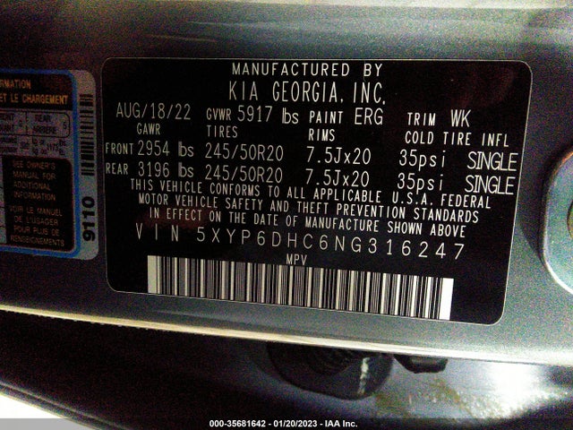 2022 Kia Telluride, VIN: 5XYP6DHC6NG316247