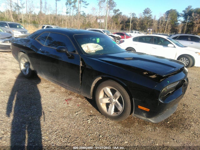 Dodge Challenger Sxt 2013 2C3CDYAG9DH592967 главное изображение