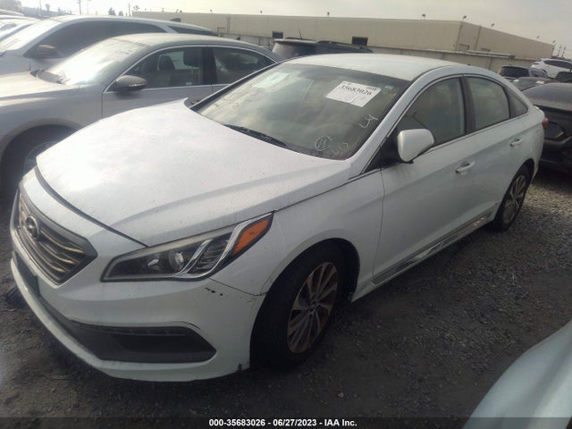 Hyundai Sonata 2.4l Sport 2015 5NPE34AF0FH100781 Image 2