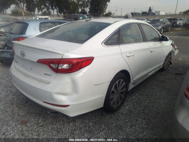 Hyundai Sonata 2.4l Sport 2015 5NPE34AF0FH100781 Image 4