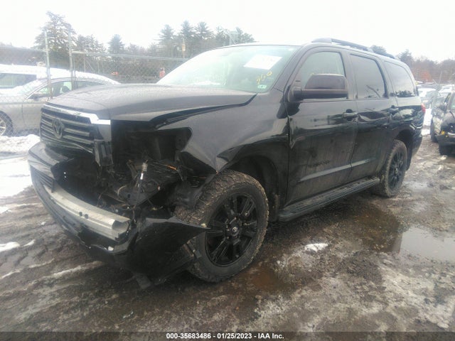 Toyota Sequoia 2019 5TDBY5G15KS166642 Image 2