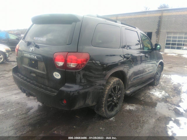 Toyota Sequoia 2019 5TDBY5G15KS166642 Image 5