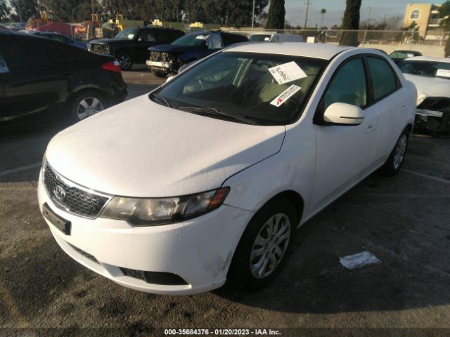 KNAFU4A29C5543583 KIA FORTE EX