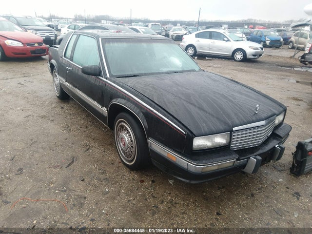 1991 1G6EL13B0MU608456 main image