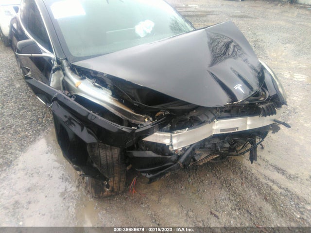 Tesla Model 3 Range 2019 5YJ3E1EA5KF409945 Image 7