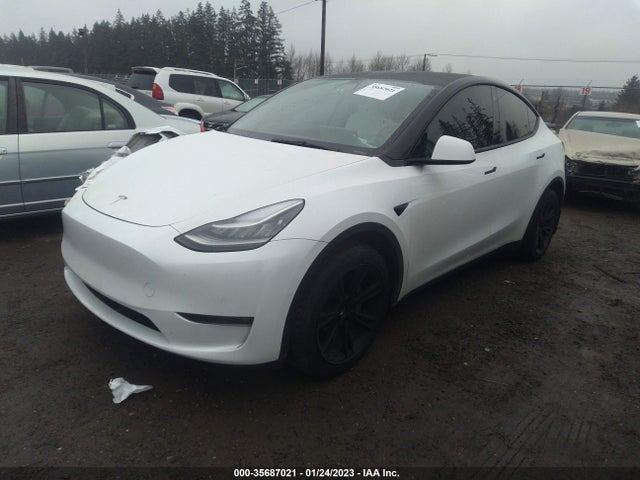 Tesla Model Y 2021 5YJYGDEE2MF230933 Image 2