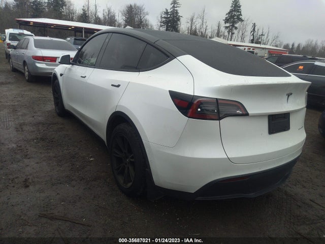 Tesla Model Y 2021 5YJYGDEE2MF230933 Image 3