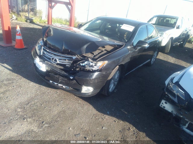 Lexus ES 2012 JTHBK1EG4C2482042 Image 2
