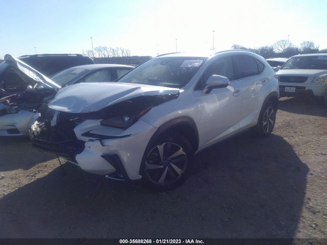JTJBARBZ2K2201022 Lexus Nx Nx 300