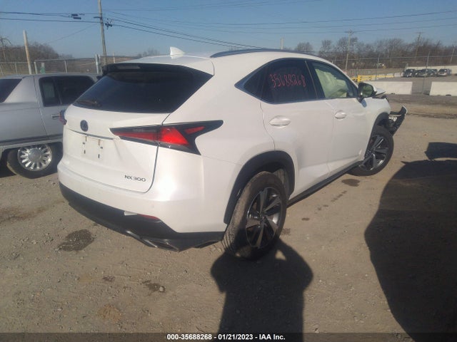 JTJBARBZ2K2201022 Lexus Nx Nx 300