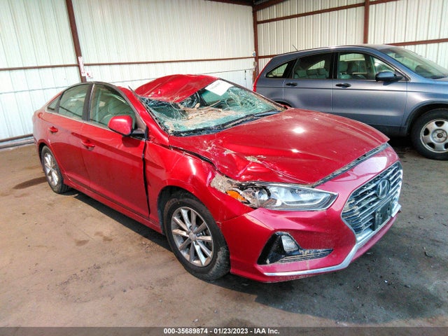 2019 5NPE24AF8KH793144 main image