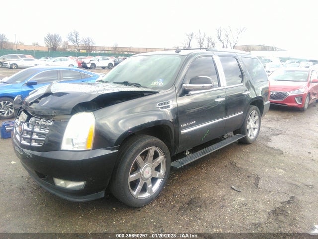 Cadillac Escalade 2010 1GYUKCEF1AR162009 Image 2