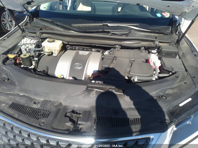 2021 Lexus RX, VIN: 2T2HGMDAXMC064255