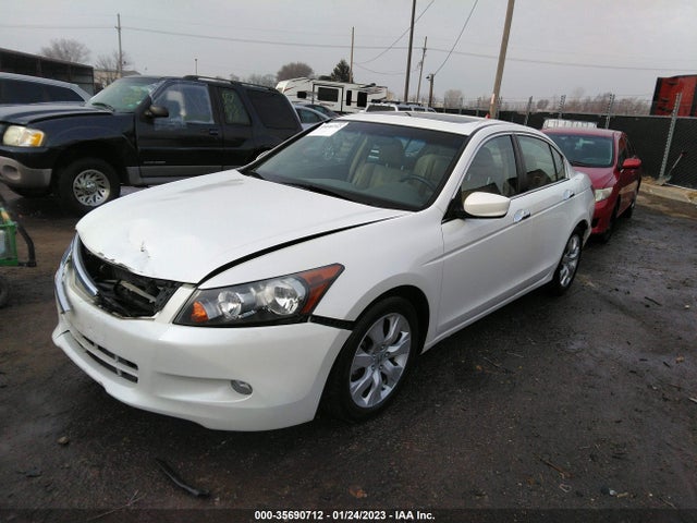 2010 HONDA ACCORD SDN EX-L VIN: 1HGCP3F84AA008462