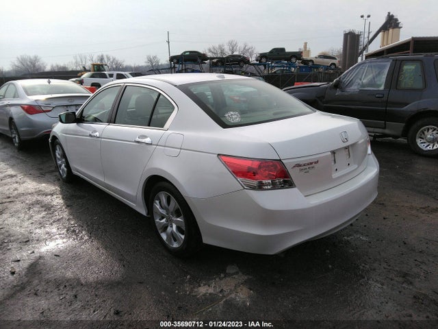 2010 HONDA ACCORD SDN EX-L VIN: 1HGCP3F84AA008462