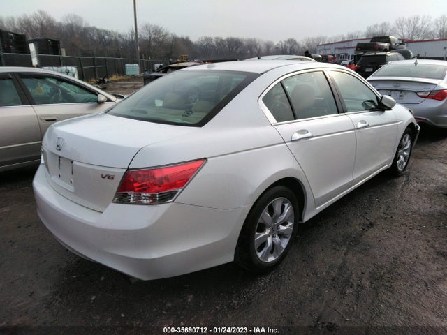 2010 HONDA ACCORD SDN EX-L VIN: 1HGCP3F84AA008462