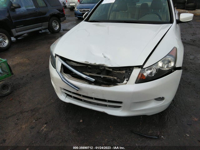 2010 HONDA ACCORD SDN EX-L VIN: 1HGCP3F84AA008462