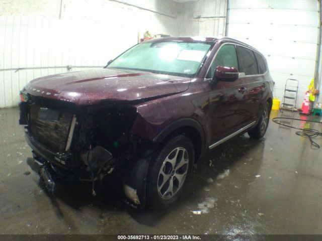 5XYP3DHC5LG002918 KIA Telluride Ex