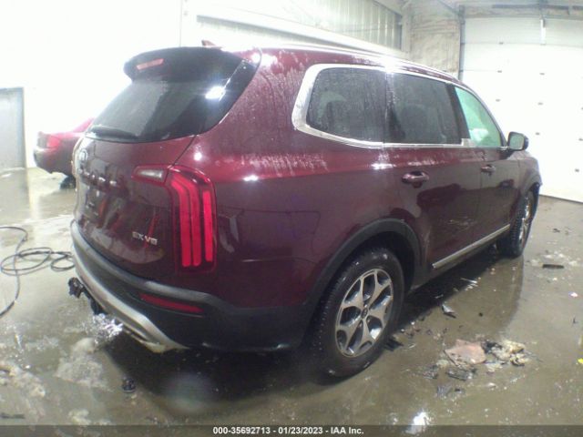 5XYP3DHC5LG002918 KIA Telluride Ex