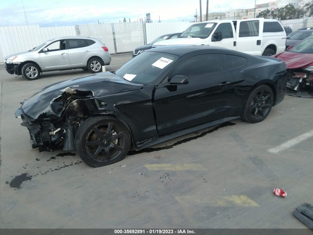 Ford Mustang Ecoboost 2019 1FA6P8TH4K5202406 Image 2