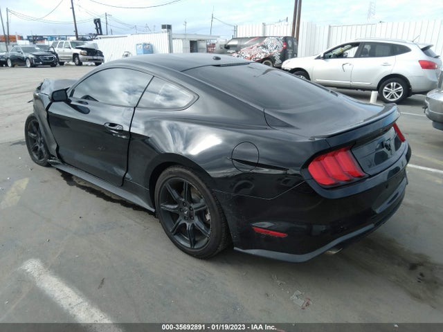 Ford Mustang Ecoboost 2019 1FA6P8TH4K5202406 Image 4