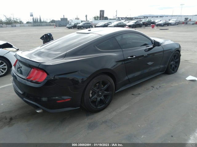 Ford Mustang Ecoboost 2019 1FA6P8TH4K5202406 Image 5