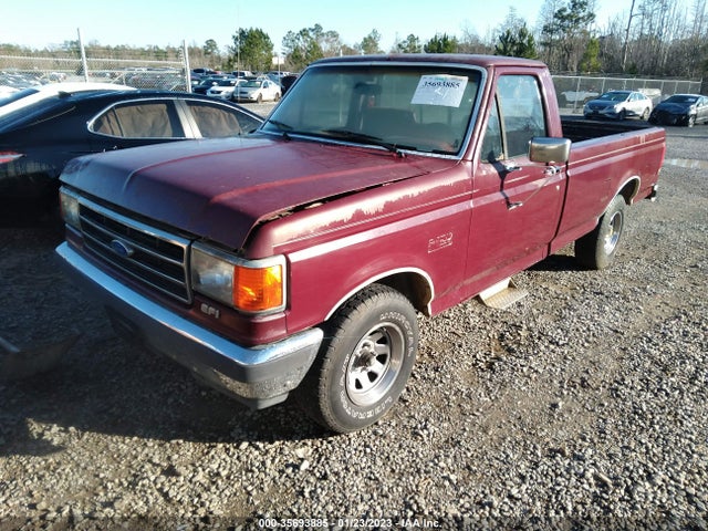 1989 FORD F150 VIN: 1FTDF15Y7KNB58250