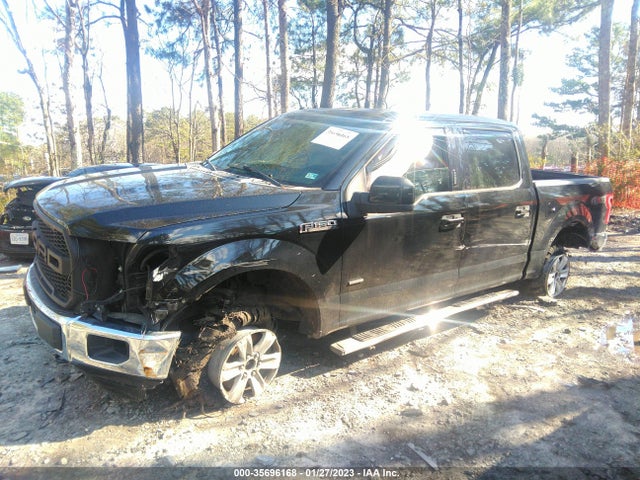 2016 FORD F-150 XLT/XL/LARIAT VIN: 1FTEW1EP7GFA88620