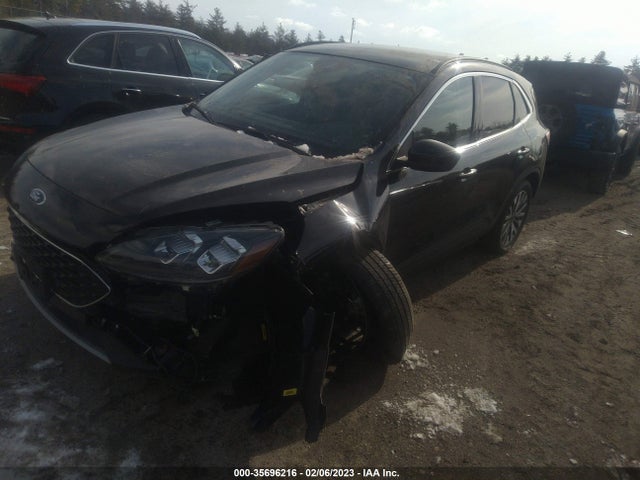 2022 Ford Escape, VIN: 1FMCU9DZ3NUA06966