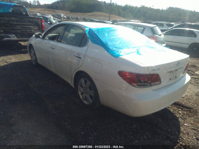 Lexus ES 330 2006 JTHBA30G965174552 Image 4