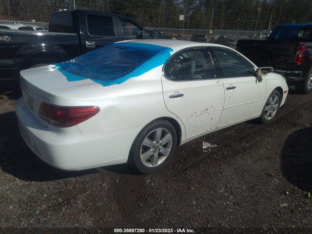 Lexus ES 330 2006 JTHBA30G965174552 Image 5