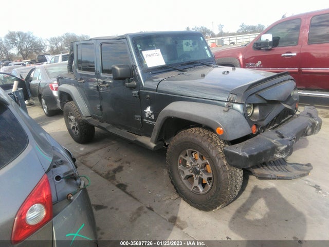 2007 1J4GB39187L204120 main image