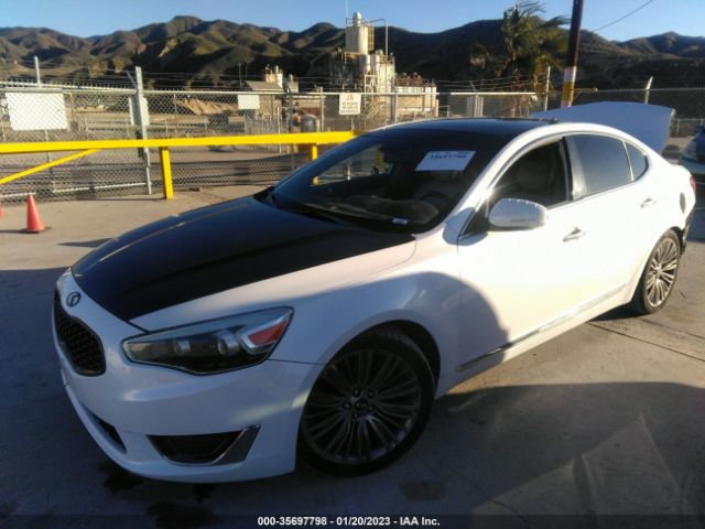 KNALN4D76E5154958 KIA Cadenza Limited