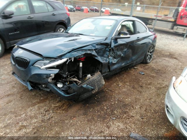 WBA1F5C55GV343808 BMW 2 Series 228i