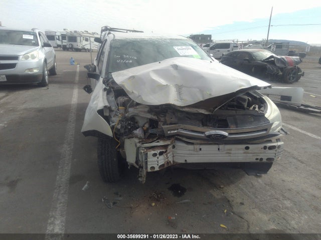 2010 FORD FOCUS SE VIN: 1FAHP3FN2AW192769