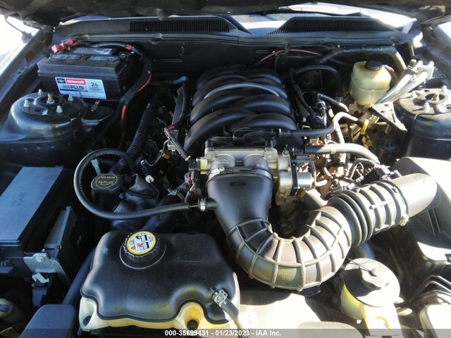 2006 FORD MUSTANG GT VIN: 1ZVFT82HX65109299