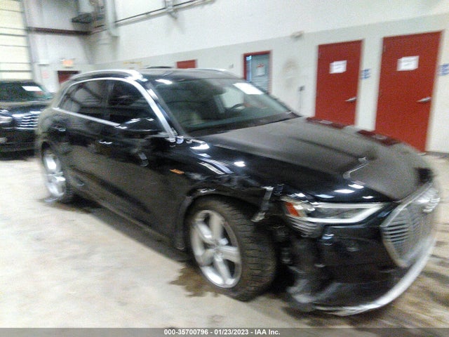 2019 Audi e-tron, VIN: WA1LAAGE6KB010907