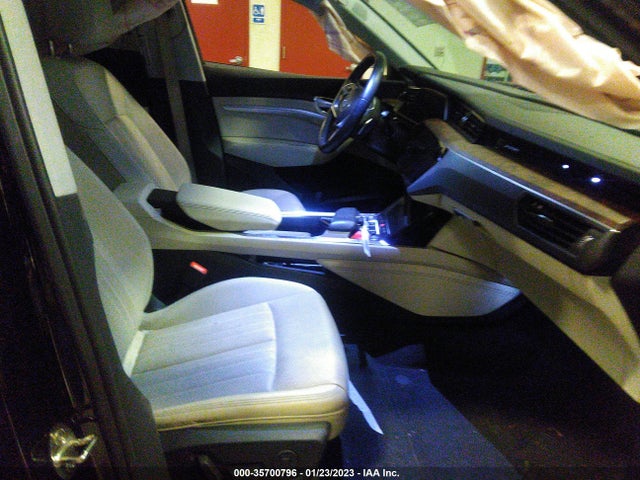 2019 Audi e-tron, VIN: WA1LAAGE6KB010907