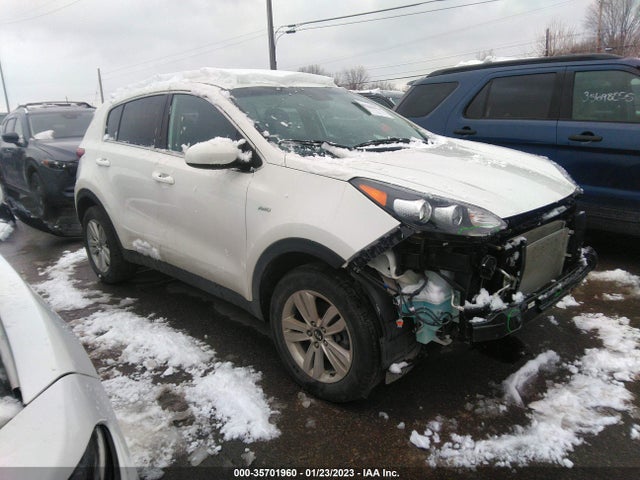 2019 KIA SPORTAGE LX VIN: KNDPMCAC2K7511846