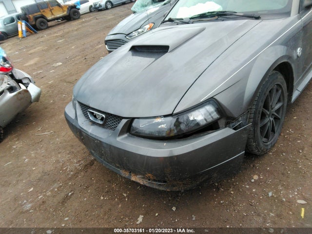 2004 FORD MUSTANG DELUXE VIN: 1FAFP40684F135057