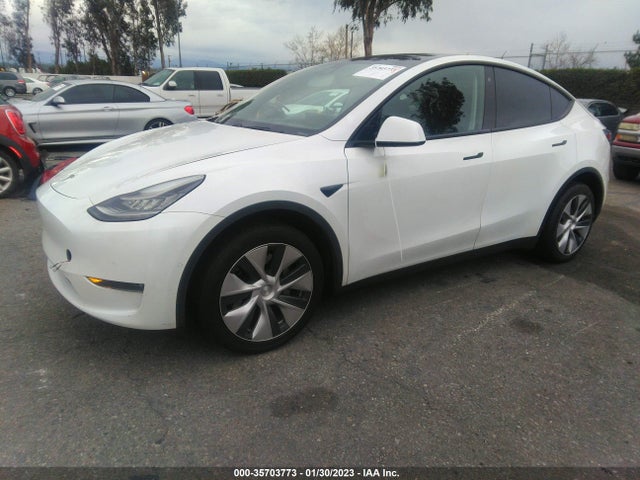 Tesla Model Y Long Range 2020 5YJYGDEE5LF053924 Image 2