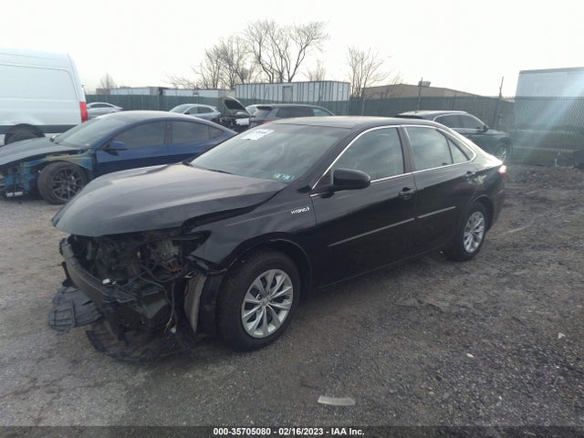 2016 Toyota Camry, VIN: 4T1BD1FK1GU181913