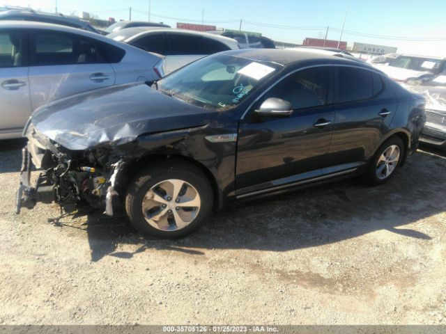KNAGM4AD6F5083891 KIA OPTIMA HYBRID