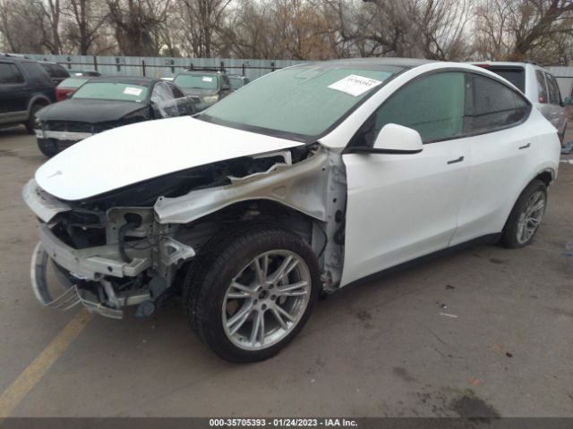 5YJYGDEE1LF010729 Tesla Model Y