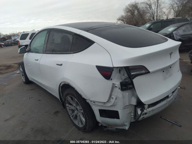 5YJYGDEE1LF010729 Tesla Model Y
