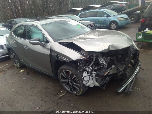 2019 Lexus UX, VIN: JTHU9JBH0K2004572