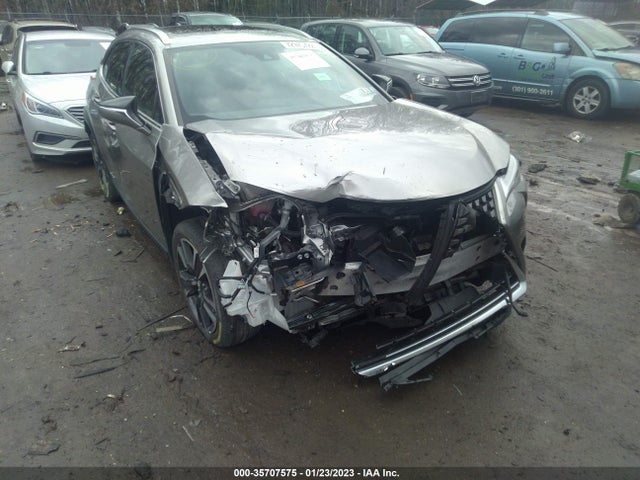 2019 Lexus UX, VIN: JTHU9JBH0K2004572