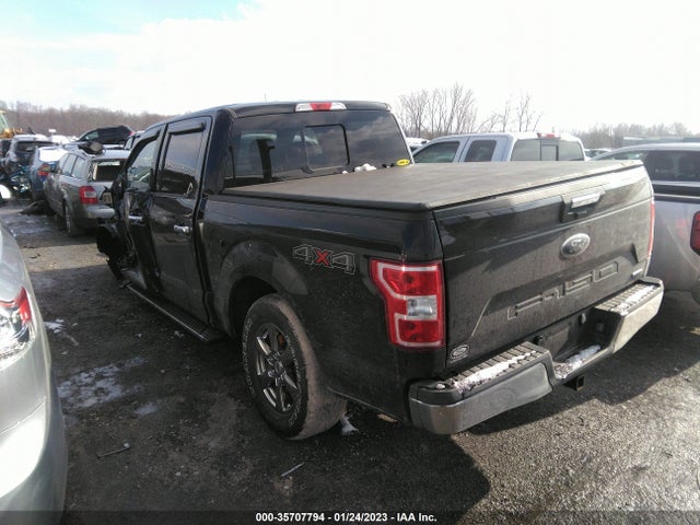 2020 Ford F-150, VIN: 1FTEW1EP9LFC80082
