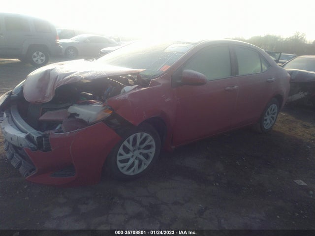 Toyota Corolla L/le/se/xle/xse 2019 2T1BURHE0KC153424 Image 2